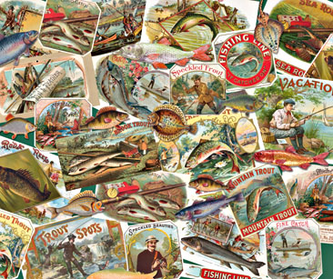 New-Fishing-Collage-for-web.jpg
